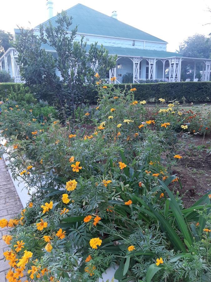 Bed and Breakfast Adley House Oudtshoorn Esterno foto