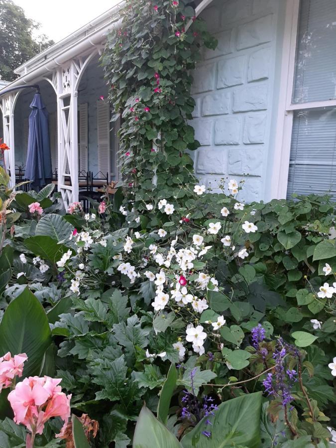 Bed and Breakfast Adley House Oudtshoorn Esterno foto